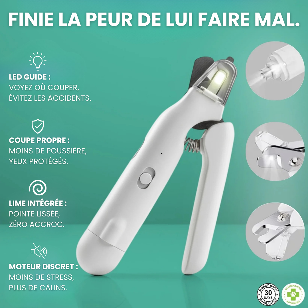 SafePaws™ LumiClip 2-en-1