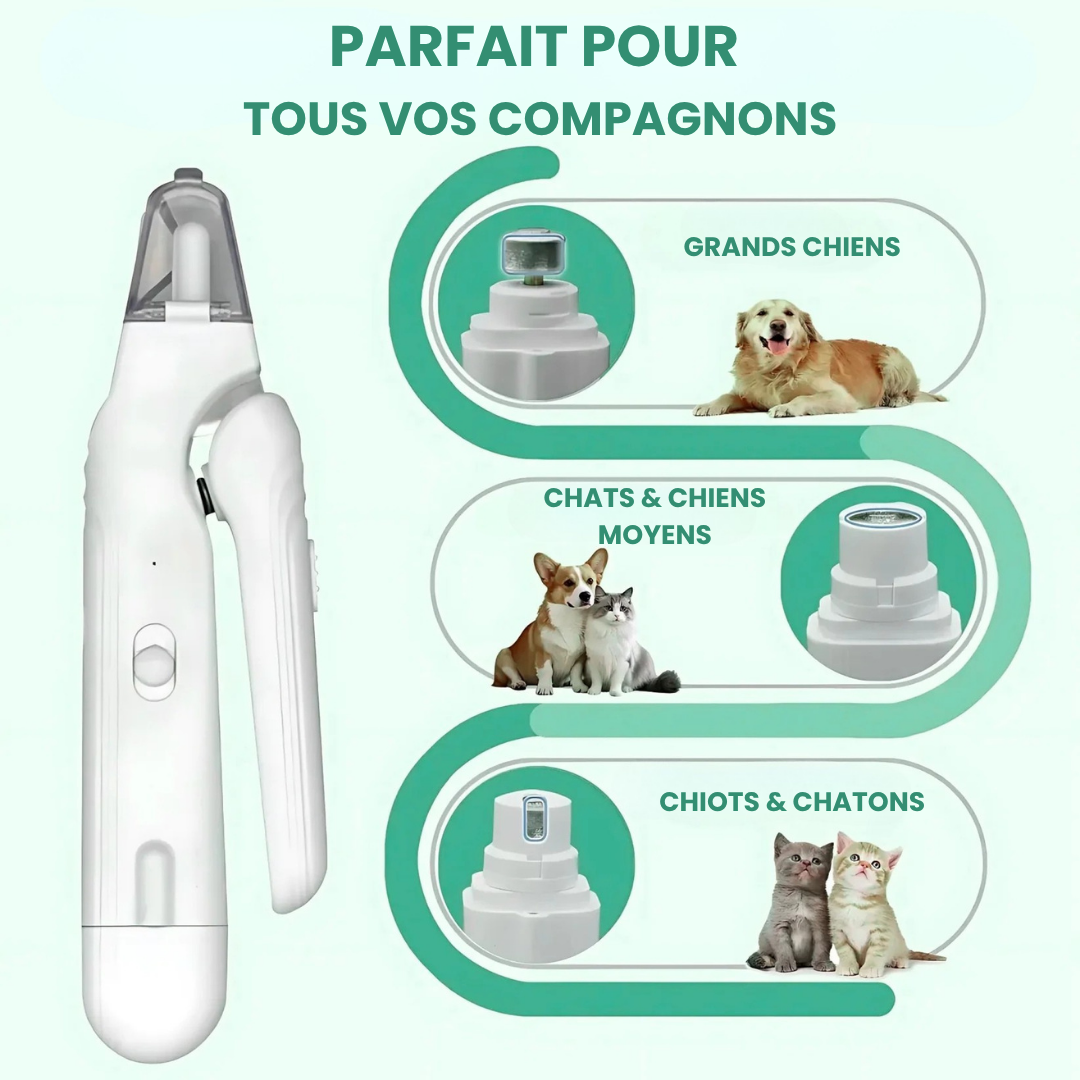 SafePaws™ LumiClip 2-en-1