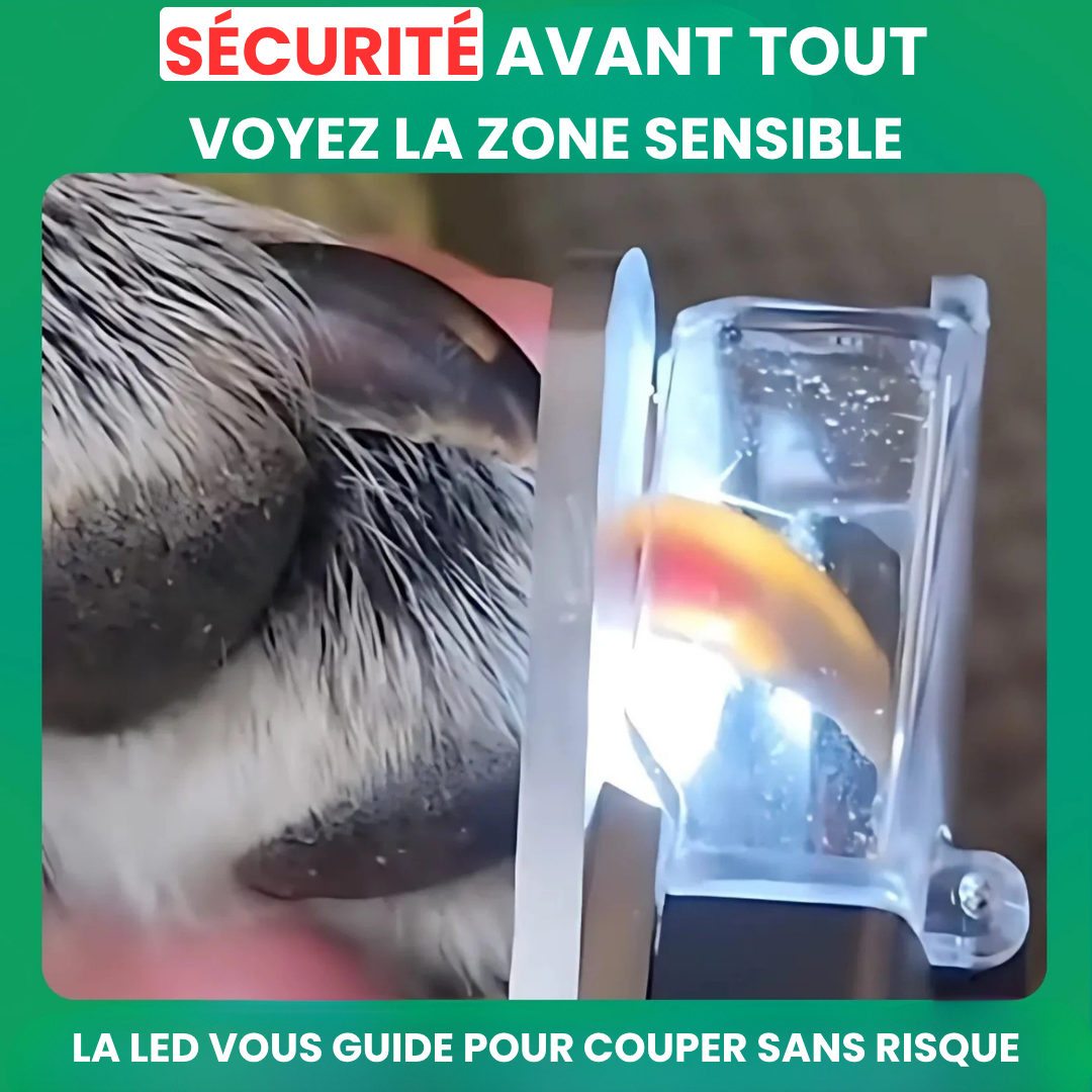 SafePaws™ LumiClip 2-en-1