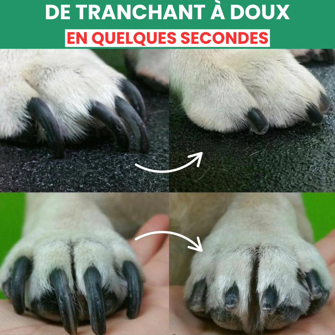 SafePaws™ LumiClip 2-en-1