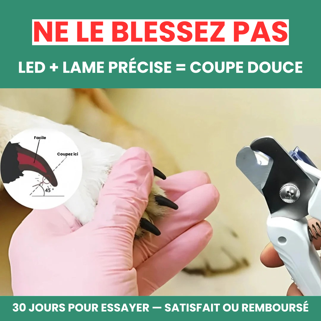 SafePaws™ LumiClip 2-en-1